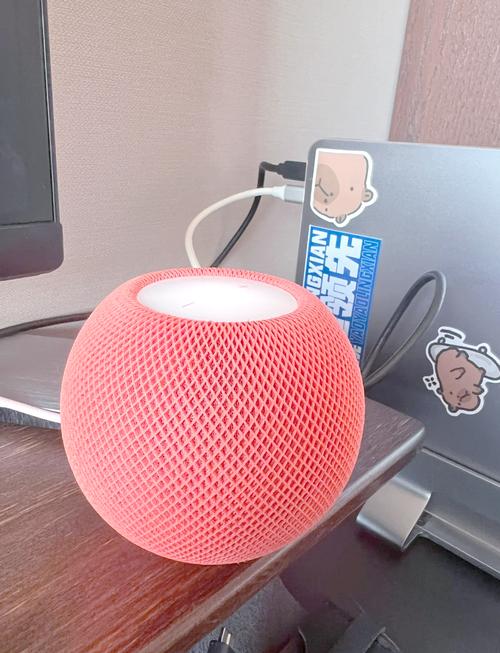 homepod互联网有点问题