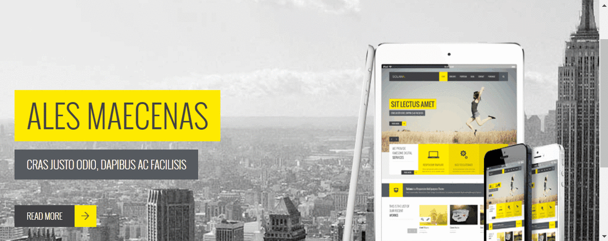 javascript特效网站