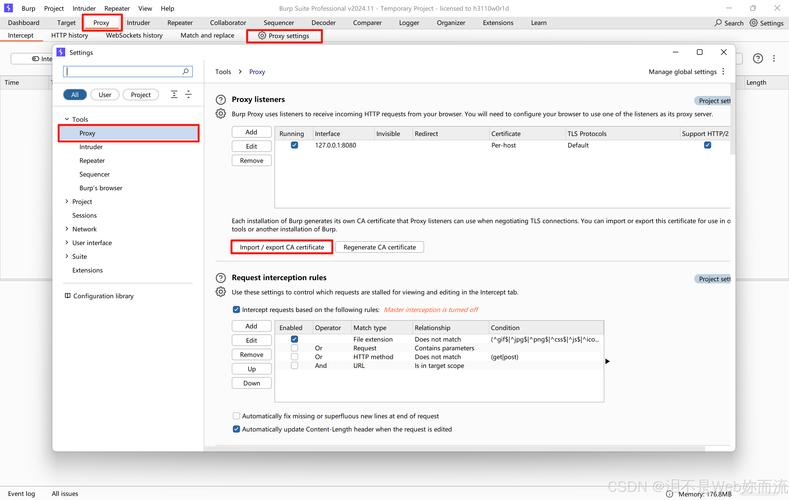 burpsuite 扫描网站