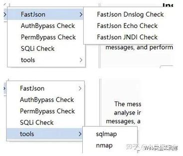 burpsuite 扫描网站