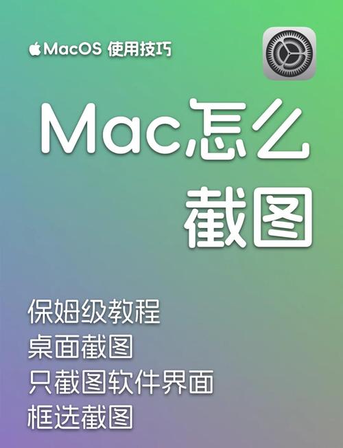 mac os 怎么获取处理器信息