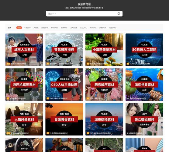 国内视频网站网站 4k视频