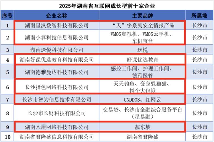 2025互联网企业排名