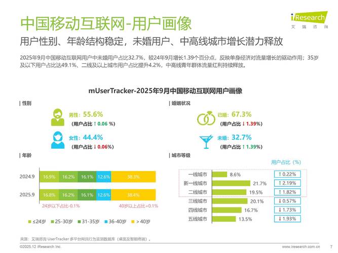 2025互联网用户人数