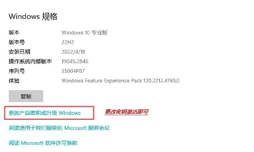 盗版windows网站