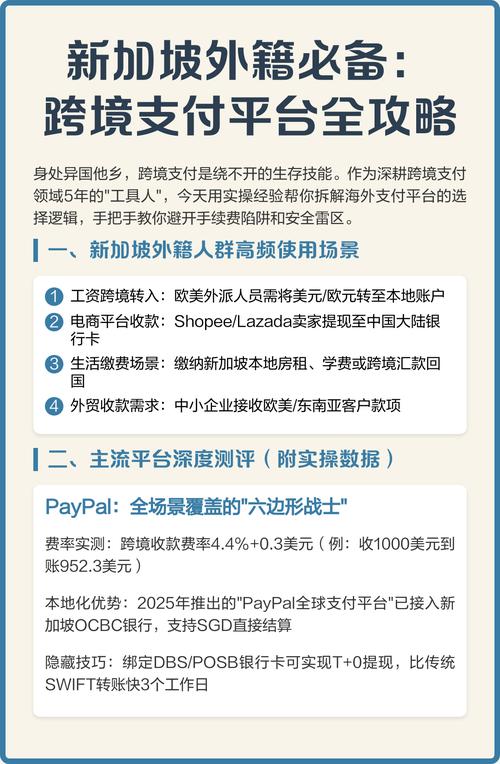 新加坡 互联网支付平台
