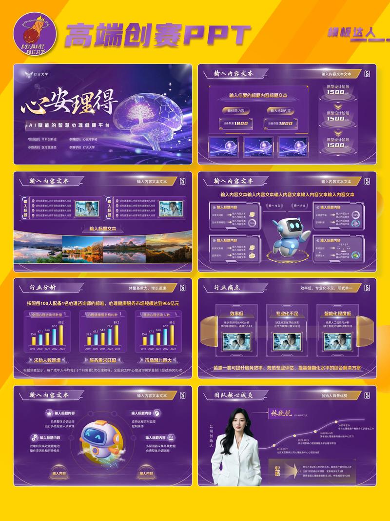 互联网 大赛项目ppt