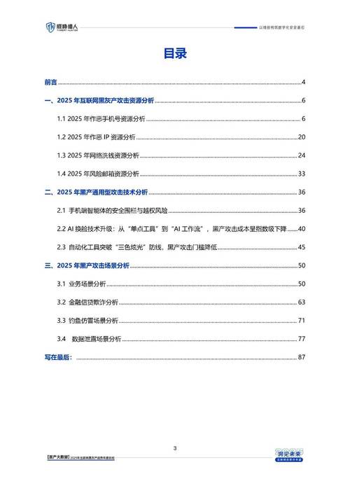 2025互联网灰色产业