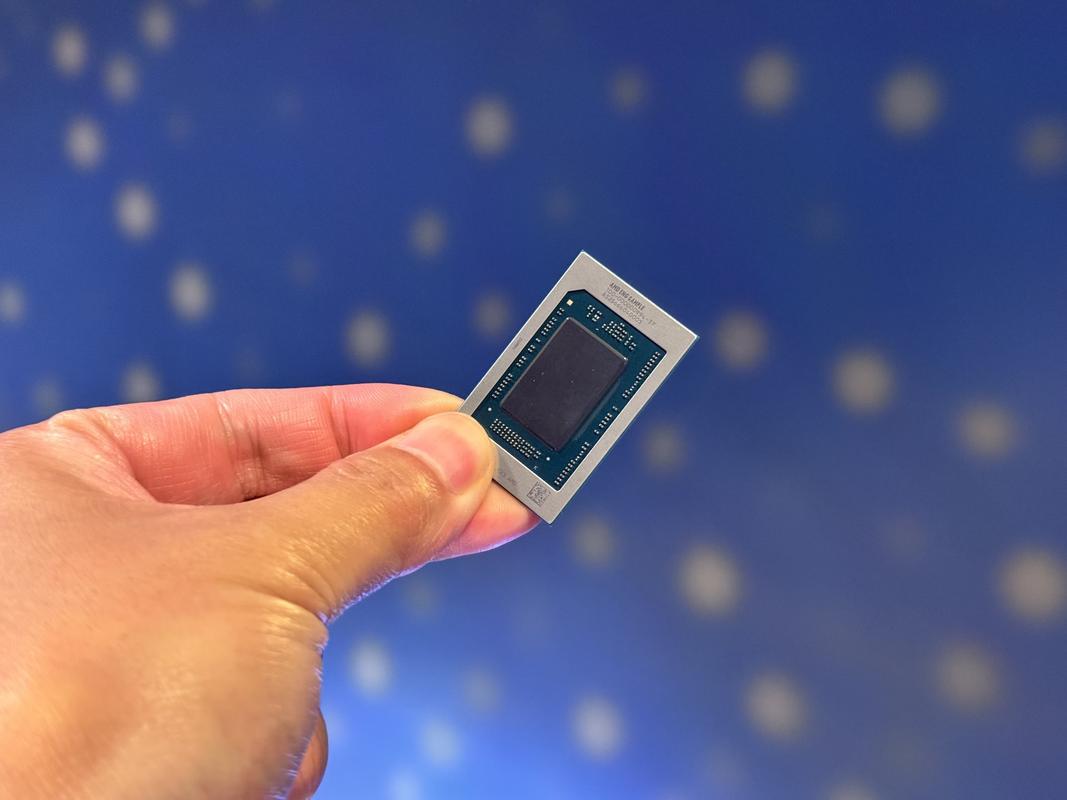 nexus7 2025 处理器