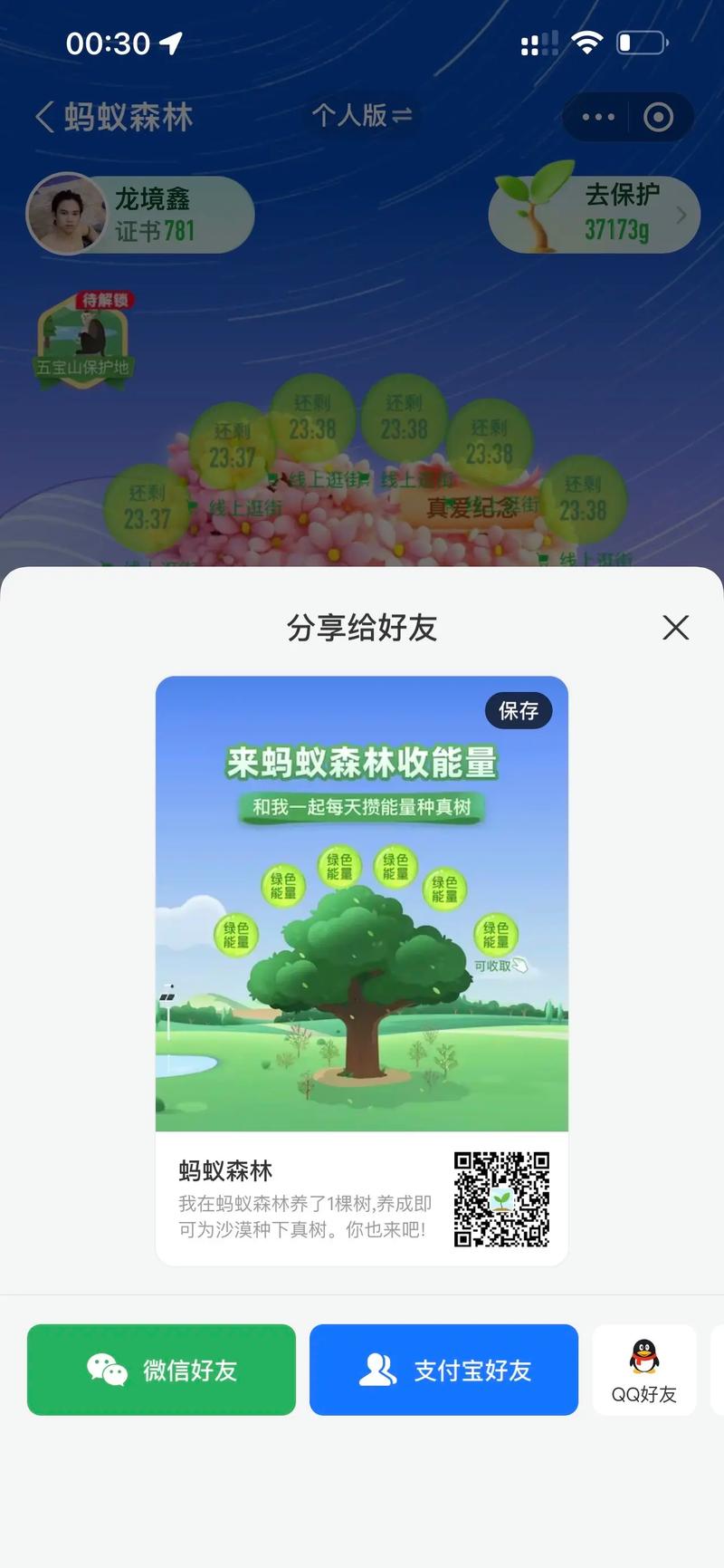 蚂蚁森林 互联网 公益