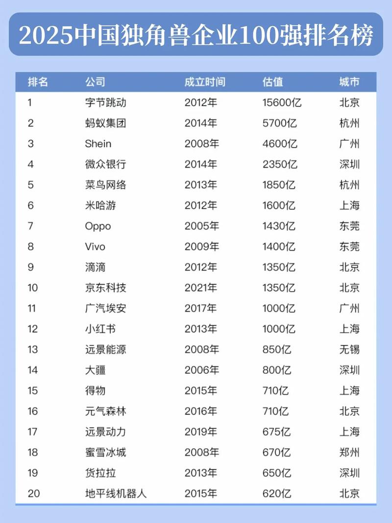 2025 互联网 排名