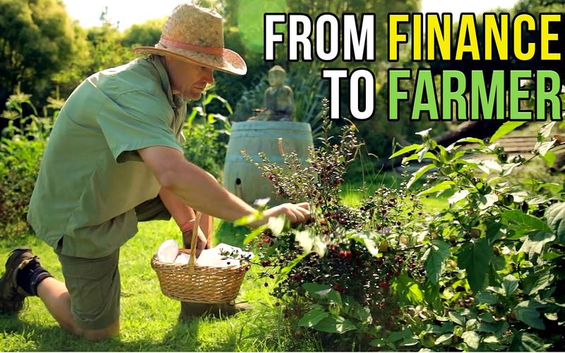 互联网金融farmer