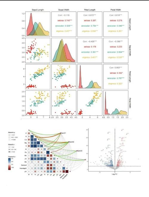 r语言与网站分析 数据