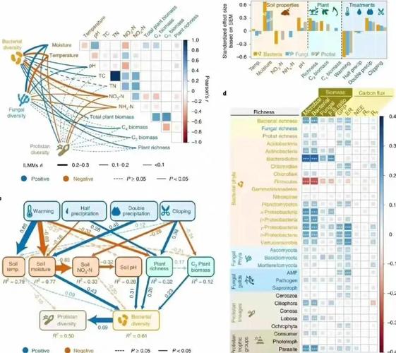 r语言与网站分析 数据