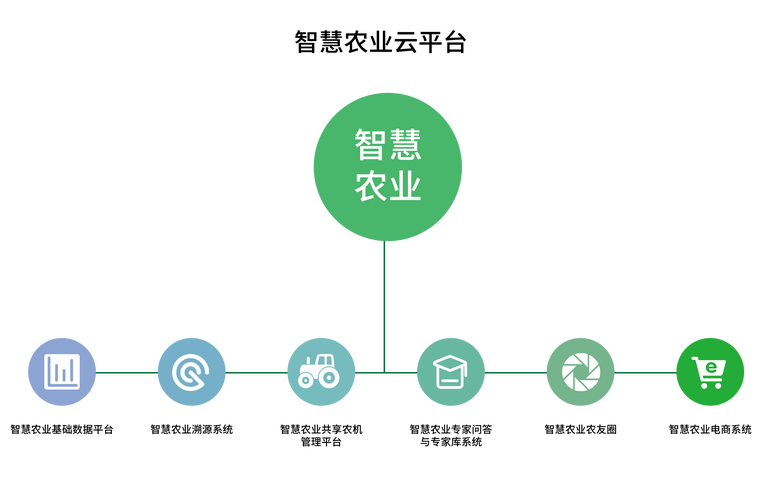 农田 种菜 互联网