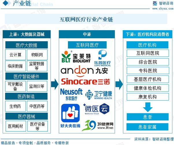 医疗 互联网 2025