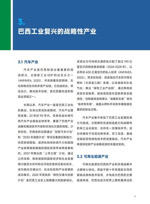 2025 巴西 互联网