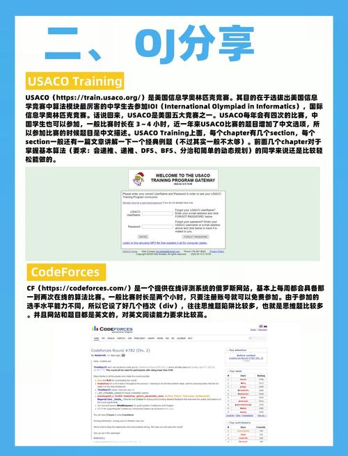 写网站编程需要什么软件