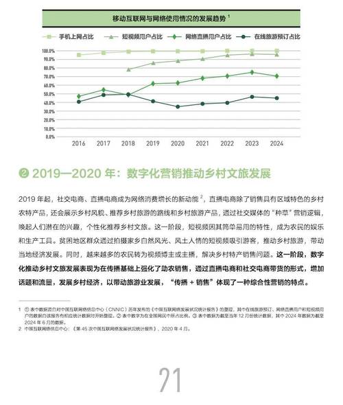农村互联网报告2025