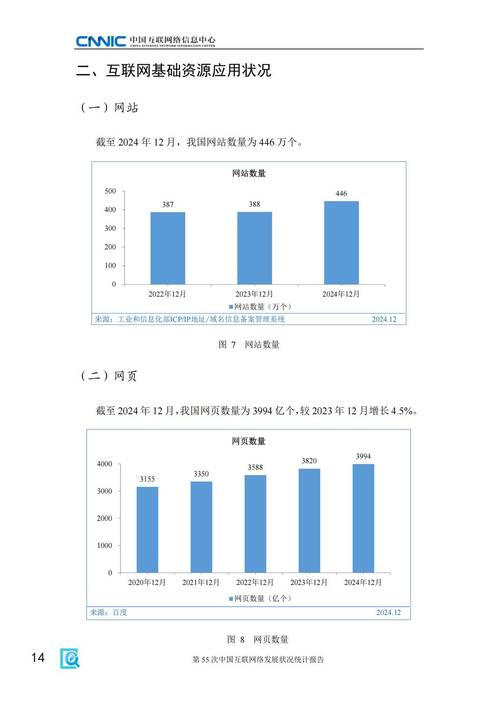 农村互联网报告2025