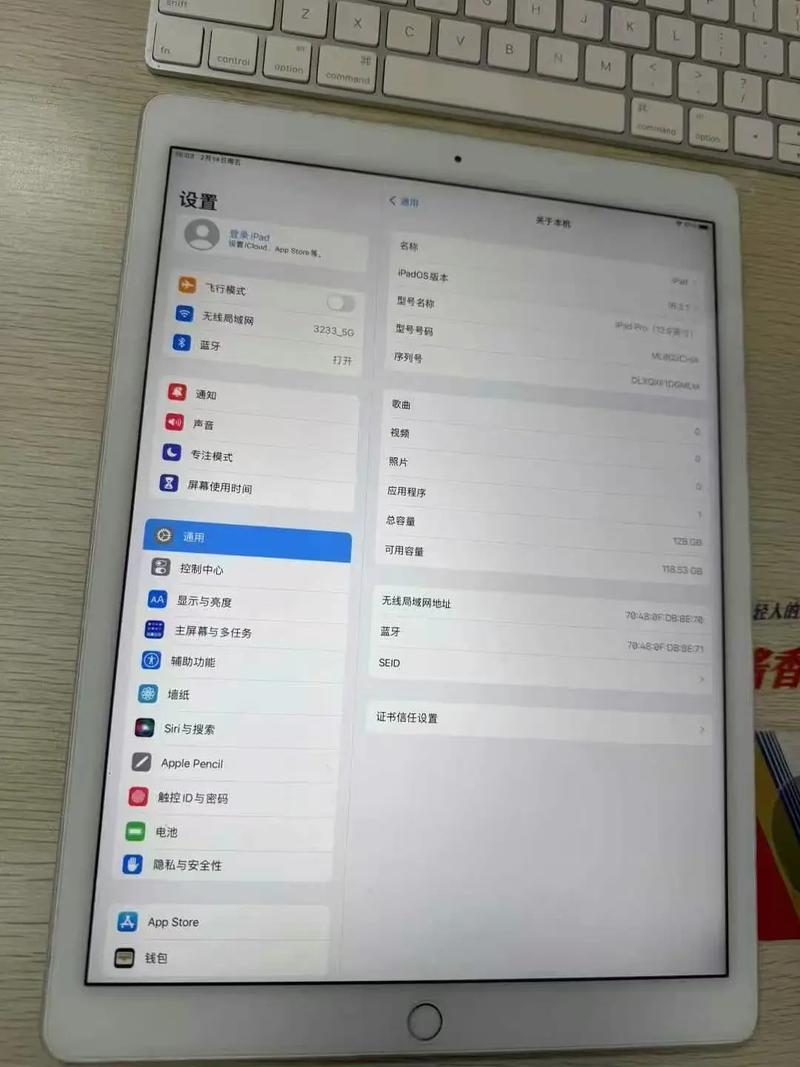 ipad pro处理器怎么看