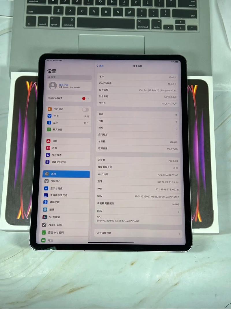 ipad pro处理器怎么看