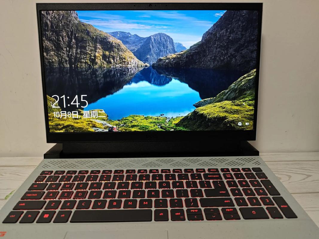 dell pp25l 处理器