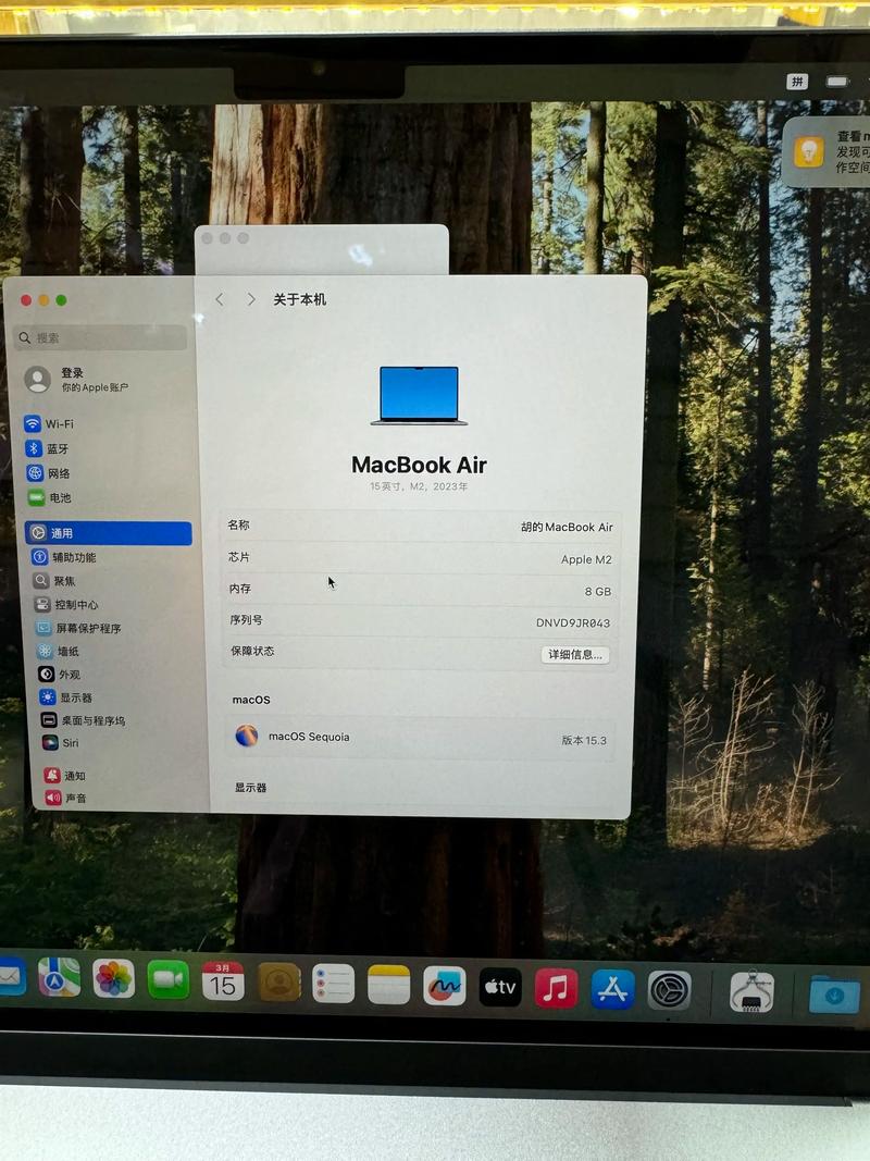 ipad air17款处理器