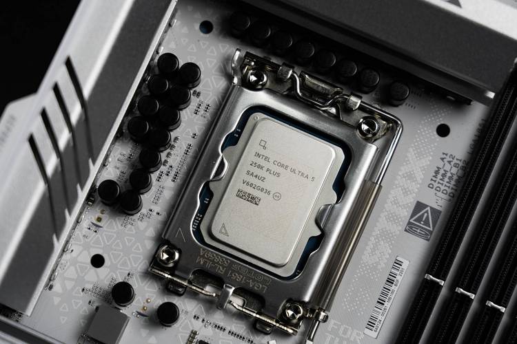 intel最新的服务器处理器