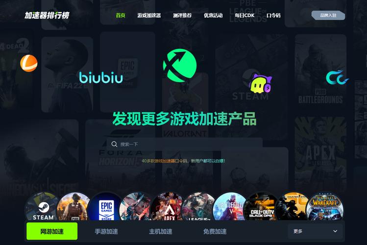 什么加速器上国外网站